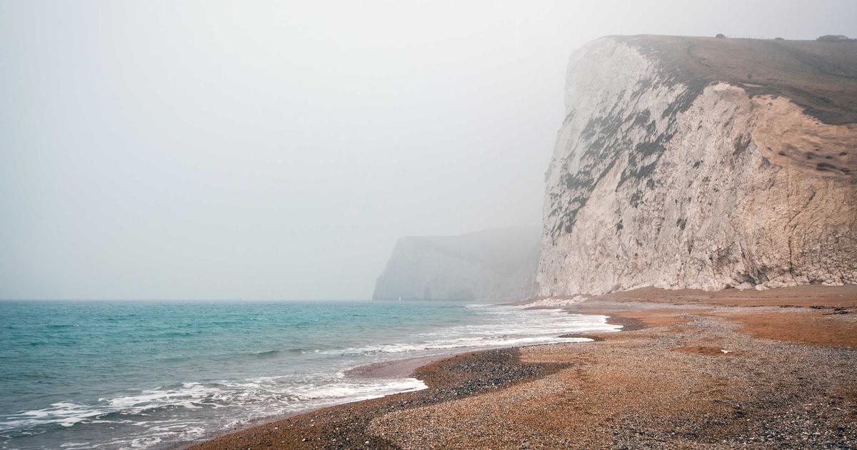 Featured: Nightshade Sensitivity vs. Nightshade Allergy: 8 Tests to Identify Which One You Have