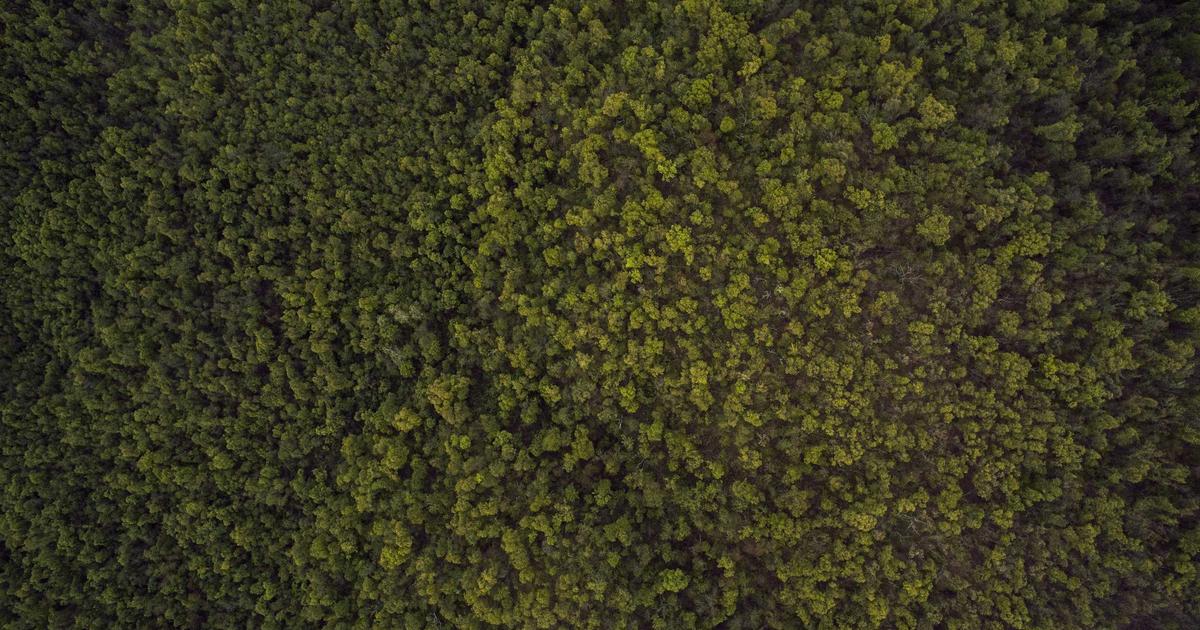 Featured: Nutrient Density Rankings: 47 Common Foods Scored by Vitamins Per Dollar (Spreadsheet Included)