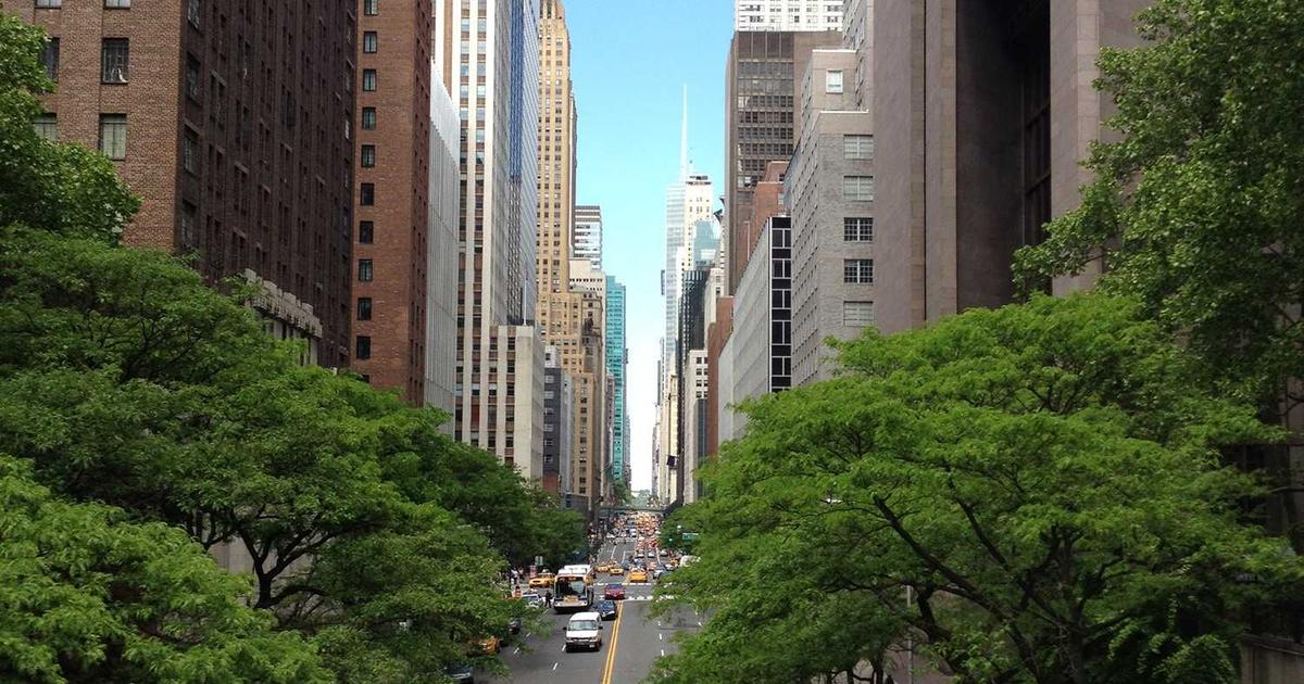 Featured: Adaptogens for Stress Eating: 6 Herbs That Curb Cortisol-Driven Cravings Without Willpower