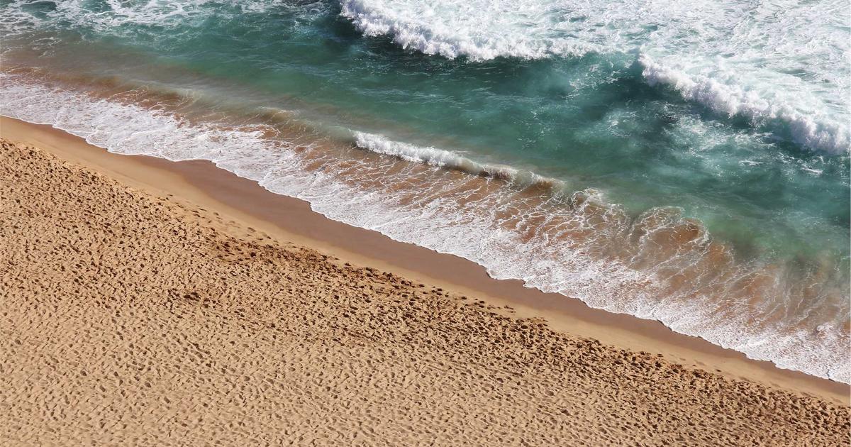 Featured: Lectins in Your Diet: Which Foods to Limit and Which Fears Are Overblown