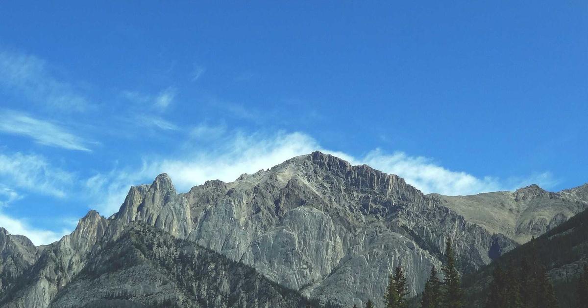 Featured: Iodine Deficiency in Vegans: 6 Sea Vegetables That Prevent Thyroid Dysfunction Without Supplements