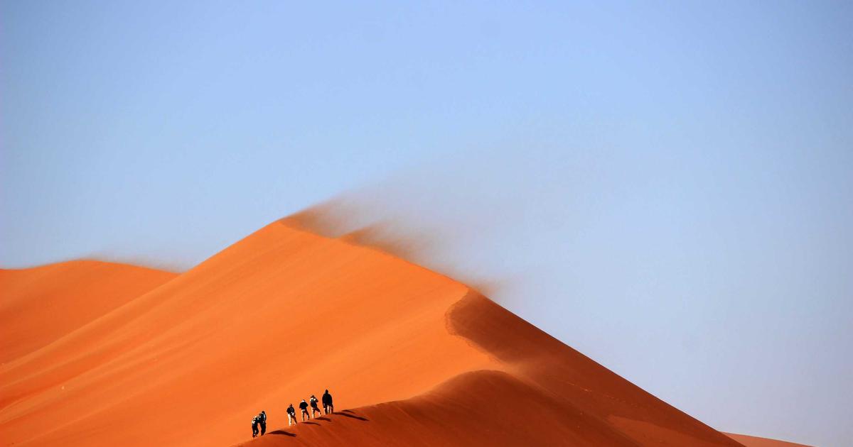 Featured: Bone Broth vs. Collagen Powder: Which One Actually Heals Your Gut Lining Faster?