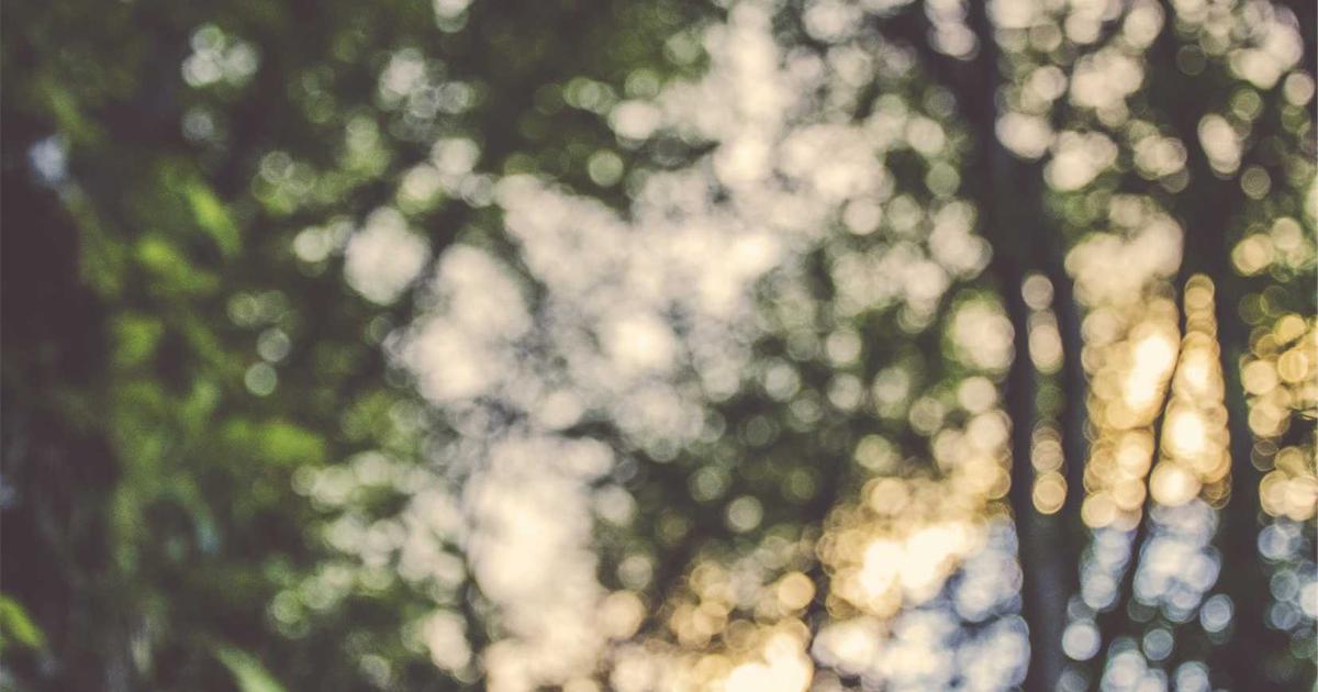 Featured: Chronotype Eating: Matching Your Meal Schedule to Your Body’s Natural Clock for Better Energy