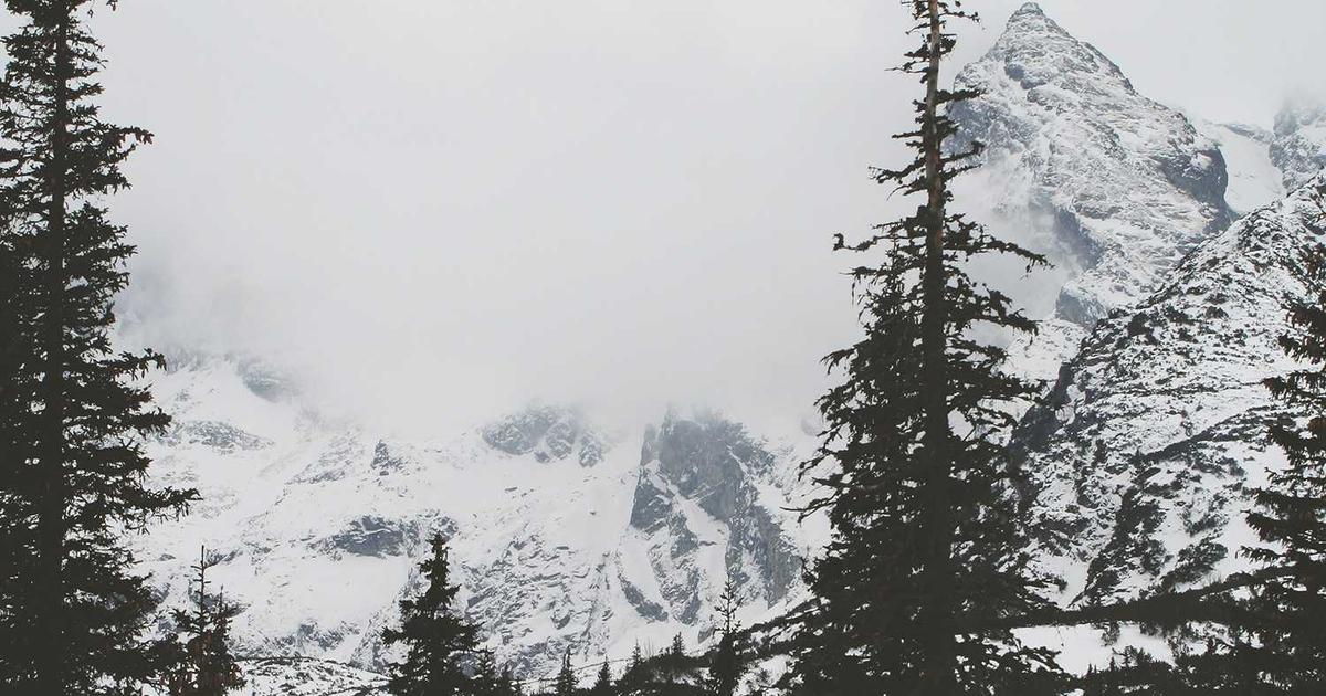 Featured: Oxalate Overload: 8 'Healthy' Foods That Could Be Causing Your Kidney Stones and Joint Pain