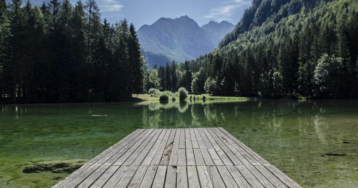 Featured: Taurine Deficiency on Plant-Based Diets: 8 Non-Meat Sources That Support Heart and Eye Health